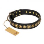 "Gold Mine" FDT Artisan Black Leather Dogue de Bordeaux Collar with Amazing Bronze-Plated Round Studs