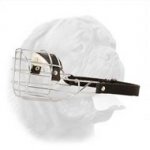 'The Silencer' Enhanced Design One-Strap Wire Cage Muzzle for Dogue de Bordeaux
