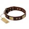 "Shining Armour" FDT Artisan Brown Leather Dogue de Bordeaux Collar with Decorations