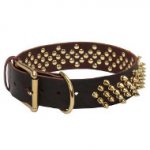 'Pricky Pet' Leather Dogue de Bordeaux Collar