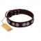 "High and Mighty" FDT Artisan Classy Brown Leather Dogue de Bordeaux Collar with Embellished Brooches