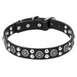 Leather Dogue de Bordeaux Collar with Silver-like Circles and Round Studs