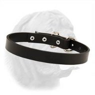 1 Inch Wide Leather Dogue de Bordeaux Collar with Buckle