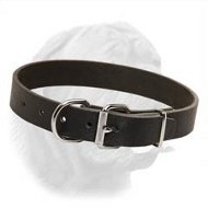 Plain Design Dogue de Bordeaux Collar Made of Full Grain Leather