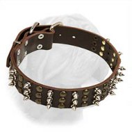 Dogue de Bordeaux Extra Wide Leather Buckle Collar with Interchanging Columns of Spikes and Studs