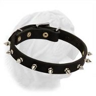 Dogue de Bordeaux Refined Shape Leather Collar with Buckle and Nickel Plated Spikes