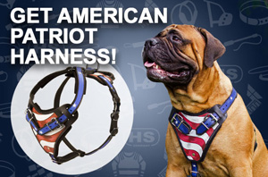 Leather dog harness