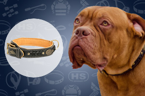 Leather Dog Collar