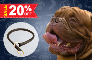 Padded Leather Collar