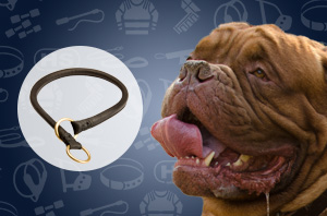Leather Dog Collar