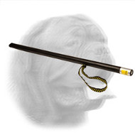 Incredible Dogue de Bordeaux Training Agitation Stick