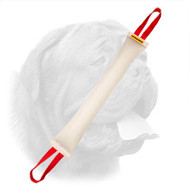 Super Large Dogue de Bordeaux Fire Hose Bite Tug