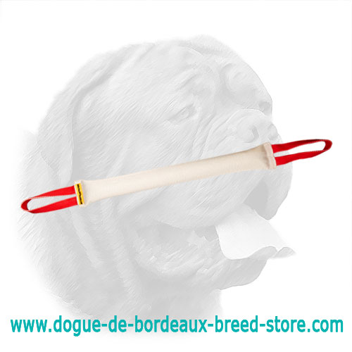 Strong Dogue de Bordeaux Fire Hose Bite Tug