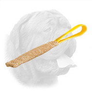 Excellent Dogue de Bordeaux Puppy Jute Bite Tug