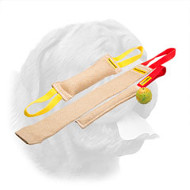 Set of Jute Bite Tugs for Dogue de Bordeaux Puppy Training