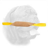 Well-Stuffed Leather Dogue de Bordeaux Bite Tug