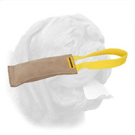 Excellent Leather Bite Tug for Dogue de Bordeaux