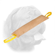 Enormous Dogue de Bordeaux Leather Bite Tug