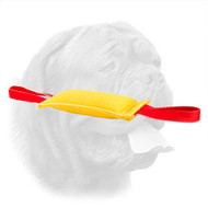 Sturdy French Linen Bite Tug for Dogue de Bordeaux Puppies