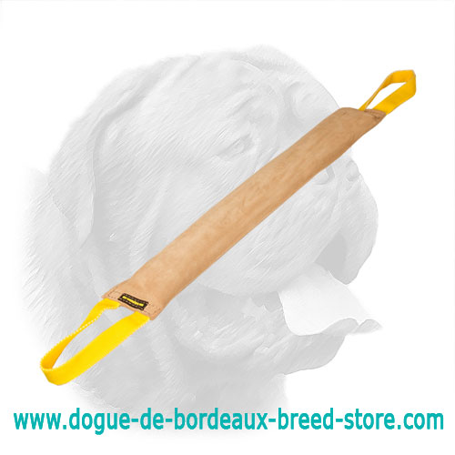 Strong and Durable Dogue de Bordeaux Leather Bite Tug