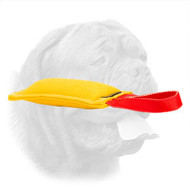 Fabulous Quality Dogue de Bordeaux Bite Tag