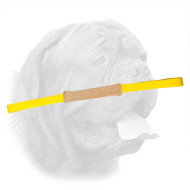 Fabulous Leather Bite Tug for Dogue de Bordeaux Puppies