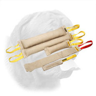 Superior Jute Training Set for Dogue de Bordeaux