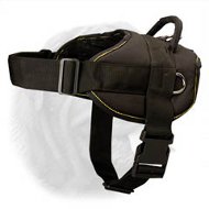 Light Weight Nylon Harness for Dogue de Bordeaux's Pulling and Tracking  Light Weight Nylon Harness for Dogue de Bordeaux's Pulling and Tracking