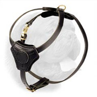 Lightweight Leather Dogue de Bordeaux Harness for Puppies