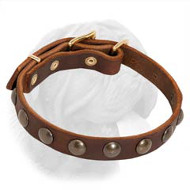 Trendy Dogue de Bordeaux Leather Collar with Brass Adornment