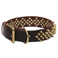 'Pricky Pet' Leather Dogue de Bordeaux Collar