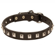 New "Caterpillar" Leather Dogue de Bordeaux Collar