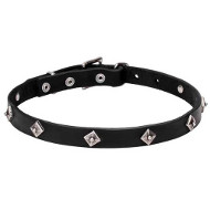 Extra Strong Leather Dogue de Bordeaux Collar with Studs