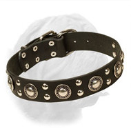Reliable Dogue de Bordeaux Leather Collar for Trendy Dogs