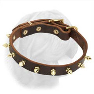 Multifunctional Amazing Spiked Dogue de Bordeaux Collar