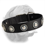 Nylon Dogue de Bordeaux Collar with Silver Conchos