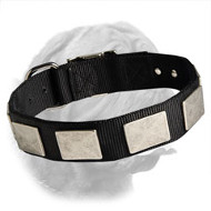 Nylon Dog Collar For Dogue de Bordeaux With Vintage Plates