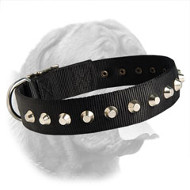 Gorgeous Wide Nylon Dogue de Bordeaux Collar With Nickel Plated Pyramids