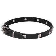 Incredible Dogue de Bordeaux Leather Collar with Chrome Plated Pyramids
