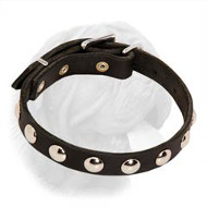 Splendid Dogue de Bordeaux Leather Collar with Nickel Studs