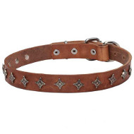 'Interstellar' Narrow Leather Dogue de Bordeaux Collar