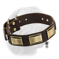 New Designer Dogue de Bordeaux Collar