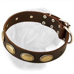 Fabulous Vintage Dogue de Bordeaux Leather Collar Fabulous Vintage Dogue de Bordeaux Leather Collar