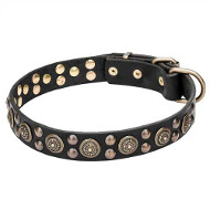 "Boho Style" Leather Dogue de Bordeaux Collar with Massive Brass Decorations