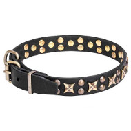 Dogue de Bordeaux Collar with Old-Fashioned Stars and Studs