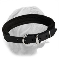 Dependable Padded Leather Collar for Dogue de Bordeaux
