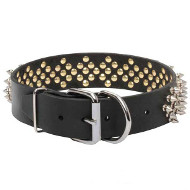 Rhomby Spiked Dogue de Bordeaux Collar for Stylish Walking