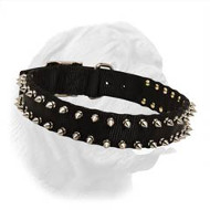 Black Nylon Spiked Dogue de Bordeaux Collar