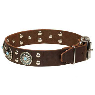 'Ace Style' Leather Dogue de Bordeaux Collar with Silver-like Decor