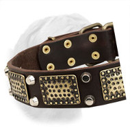 High-Quality Leather Dogue de Bordeaux Collar with Old Brass Massive Plates
